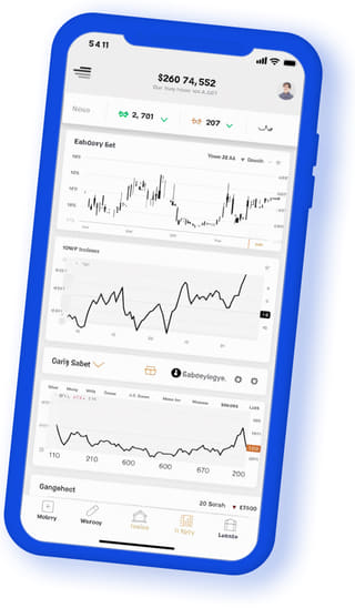 Lauro Investezza applicazione web digitale su dispositivo mobile